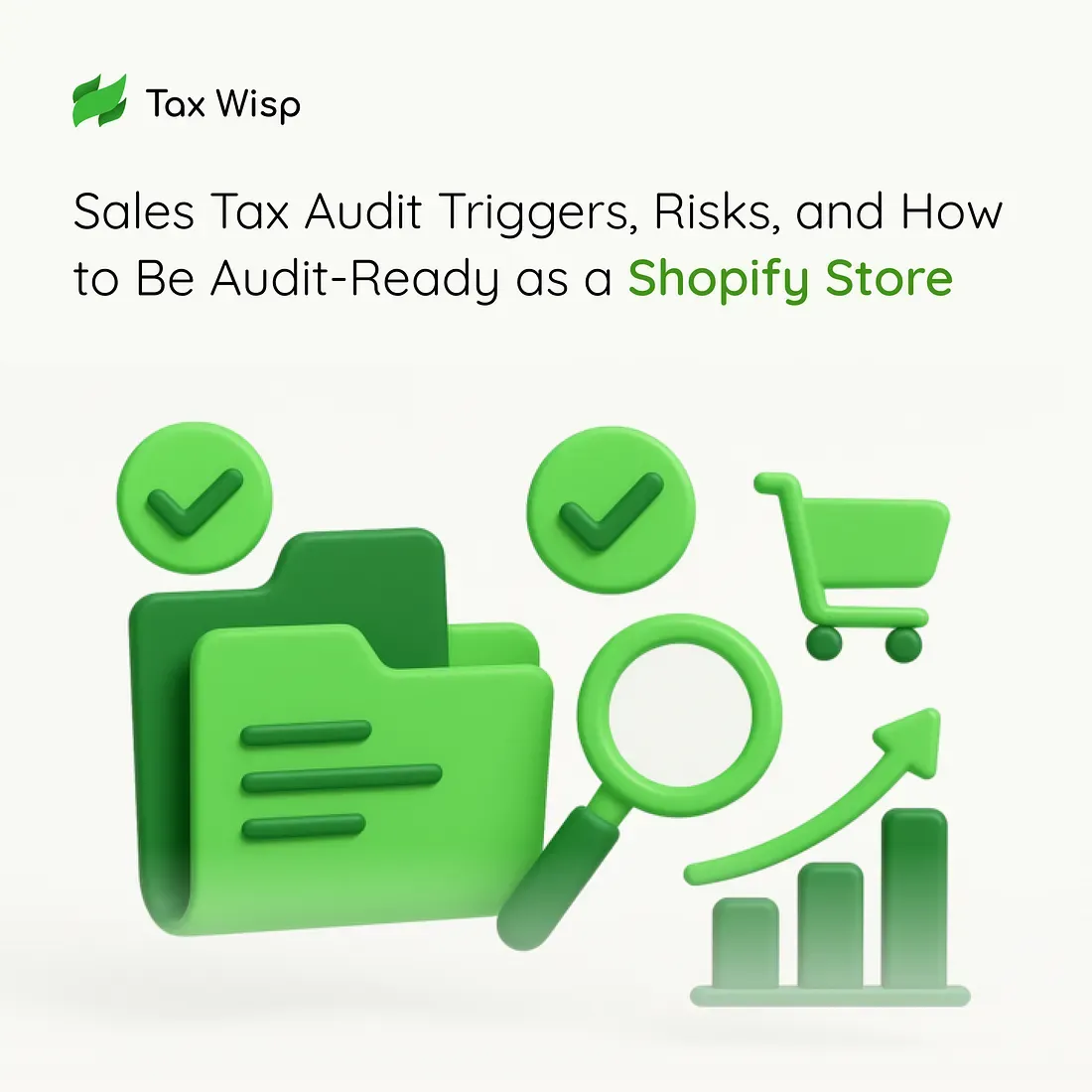 ggers, Risks, and How to Be Audit-Ready as a Shopify Store